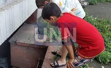 У столиці з вікна викинули кота.