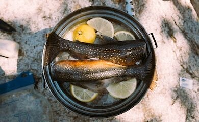 Які продукти знижують ризик зараження коронавірусом
