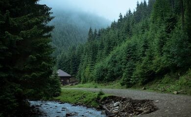 На Закарпатье объявили угрозу схода селевых потоков