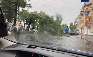 На Подоле перекрыто движение из-за падения дерева