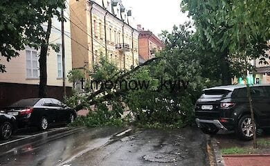 На Подоле перекрыто движение из-за падения дерева