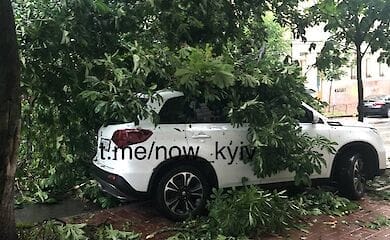На Подоле перекрыто движение из-за падения дерева