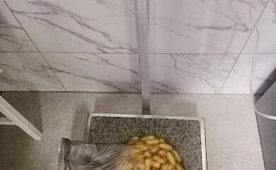 В Киеве задержали наркокурьера с кокаином в желудке