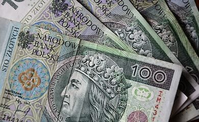 Скільки Польща платить українським заробітчанам