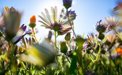 Синоптики розповіли, якою буде погода в неділю