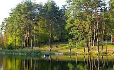 Стало відомо, через що загинули качки і риба в парку в Голосіївському районі Києва