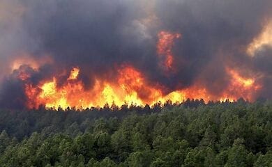 «Горячий сезон» в Турции: появилось видео с лесными пожарами в Анталье