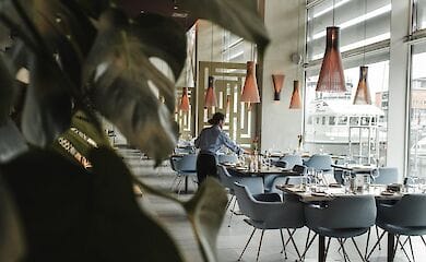 В Черногории будут пускать в рестораны лишь с ковид-сертификатом