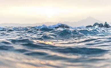 В одном из столичных водоемов нашли утопленника
