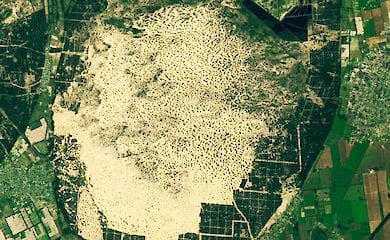 Пустелі замість чорноземів, торнадо та арктичні морози: якою буде Україна до 2100 року?