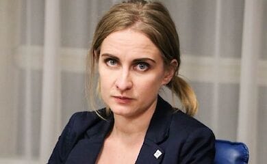 Эксперт: законопроект о лишении гражданства за получение паспорта РФ - "хайп"