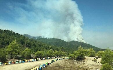 Українські рятувальники гасять пожежі в Греції