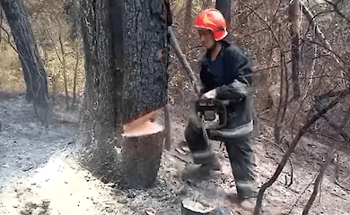 Як українські рятувальники гасять пожежу у Греції.