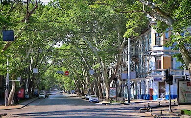 В Одесі кінь, катаютчий туристів, впала від втоми