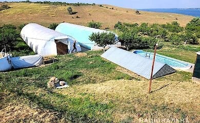 У Миколаївській області чоловік вирощував наркотичні рослини