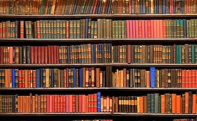 Фантастическая книга для увлекательного чтения