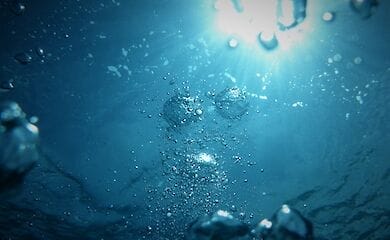 У Києві біля величезного ТРЦ люди скаржаться від поганого запаху Дніпра