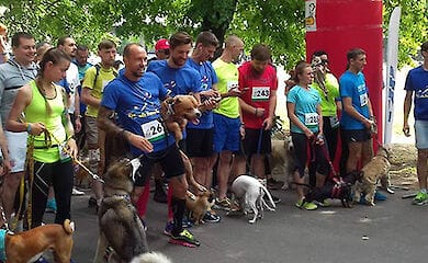 На столичній набережній пройде благодійний пробіг