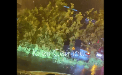 В центре Киева дерево упало на машину