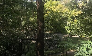 У центрі Києва облаштують новий сквер