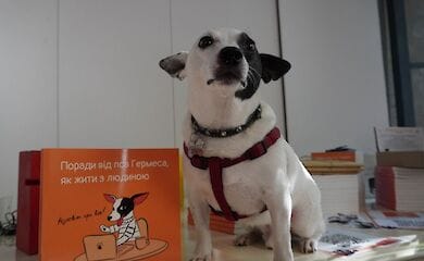 Пес Гермес експерт з людинознавства написав першу книгу