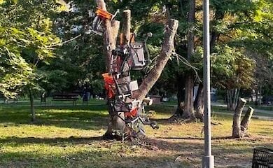 В Киеве дворник каждое утро снимает с дерева тележки из супермаркета, которые неизвестные вешают туда каждую ночь
