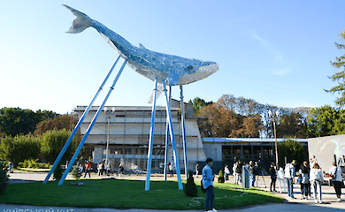 Київський Кит - новий екологічний символ столиці