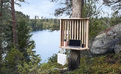 В Финляндии появятся миниофисы на деревьях