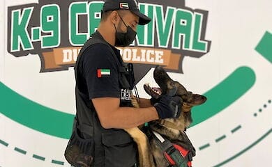 Covid-19 будут выявлять с помощью собак