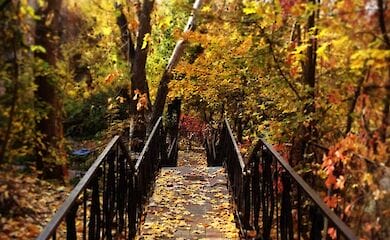 В Киев пришла метеорологическая осень