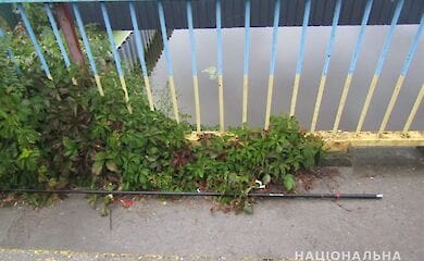 Під Києвом підліток загинув під час риболовлі