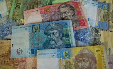 Призначення субсидії: подробиці