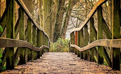 У столиці створять парк дикої природи