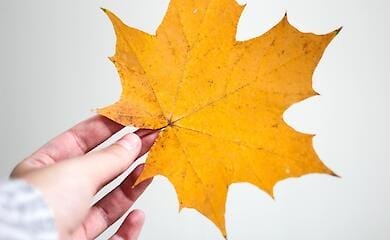 Якою буде погода в Україні 13 жовтня