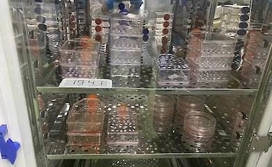 Китаец самостоятельно произвел два лекарства для сына с редким генетическим заболеванием