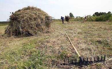 Сколько в Украине стоит гектар земли 