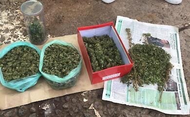 В Киеве задержали наркоторговцев с Херсонщины