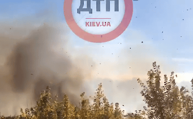 В Киеве горит лес: видео