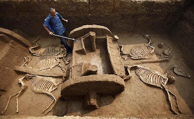 П'ятірка археологічних знахідок у Південній Пальмірі