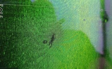 Тіло одеського адвоката дістали із Дністра