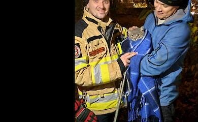 Волонтери-пожежники врятували кота, що впав у люк