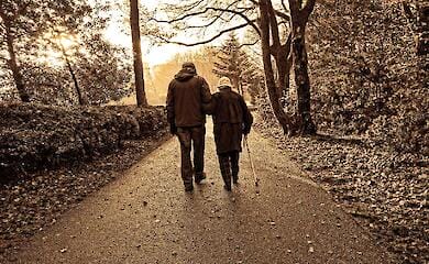 В УТОС обратились к Президенту