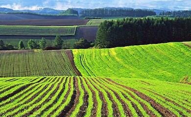В Украине - более тысячи земельных аукционов