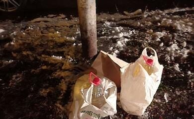 Сливали горючее с чужих автомобилей: в Киеве задержали воров