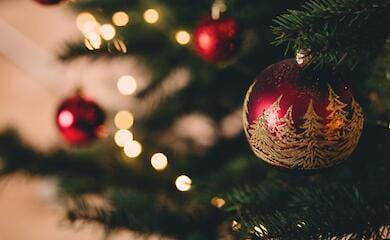 Стало известно, когда в Киеве начнут продавать елки