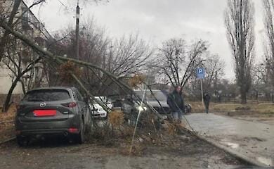 Ураган у Харкові: обірвані дроти, повалені дерева