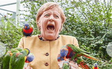 Колишній канцлер Німеччини видасть книгу