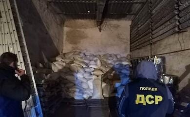 В Сумской области на госпредприятии выращивали коноплю