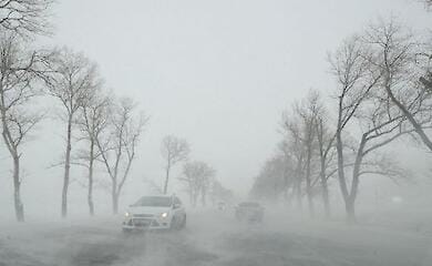 Негода на Прикарпатті втрутилася у рух транспорту