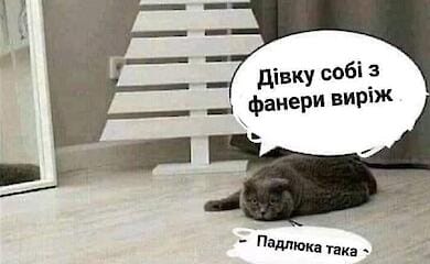 Ялинка та кішка: смішні меми та картинки